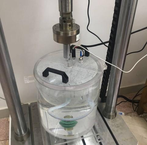 1774246621611674.jpg d858bf3120e240e2dcec6fc8294513cb_202110226843.JPG